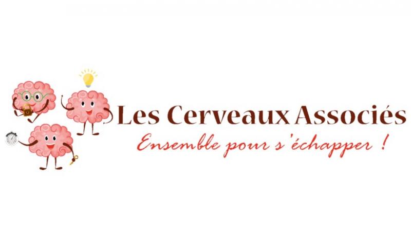 Les cerveaux associes